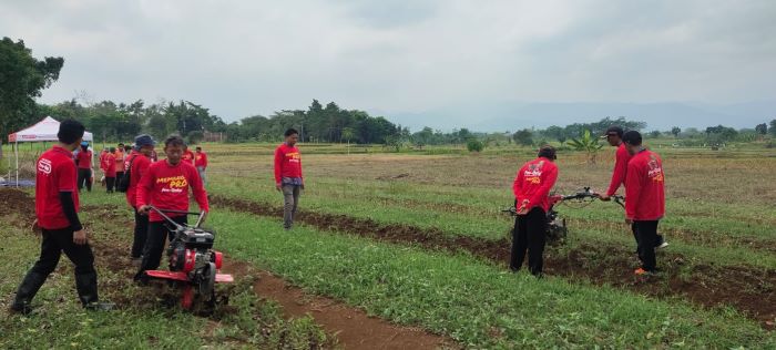 Tenaga Buruh Tani di Pekalongan Kian Langka, Petani Dikenalkan Alat dan Mesin Pertanian Modern