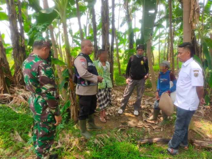 Warga 2 Desa Bersengketa, Gara-gara Kerbau Masuk Kebun Warga