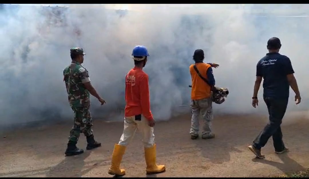 Musim Penghujan Tiba, Awas Potensi DBD