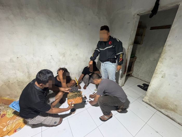 Edarkan Ganja, 2 Nelayan di Wiradesa Pekalongan Ditangkap Polisi