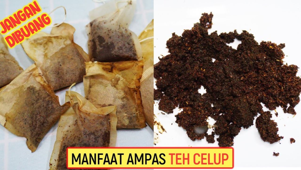 Life Hack: 7 Manfaat Ampas Teh untuk Keperluan Rumah Tangga, Apa Saja?