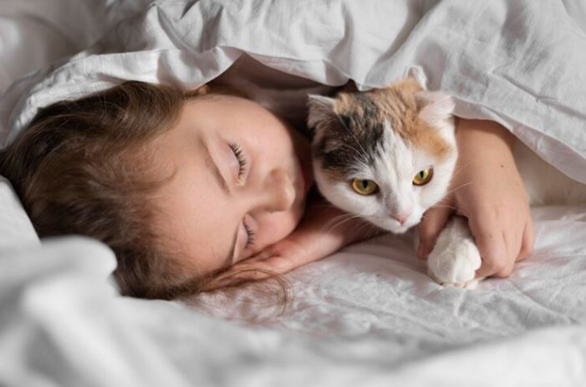Apakah Aman Tidur dengan Kucing? Baca Ini Sebelum Kamu Membawa Anabul ke Ranjang!