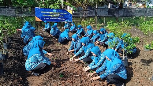 TP PKK Kabupaten Pekalongan Ikuti Gerakan Tanam Cabai di Desa Watugajah