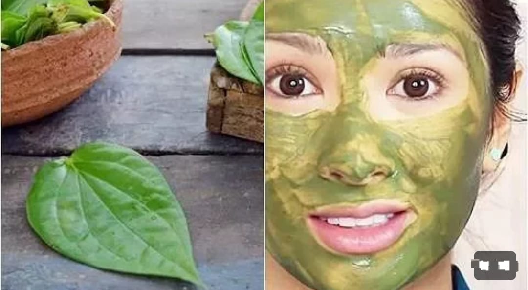 3 Manfaat Masker Daun Sirih Untuk Wajah Usia 50 Tahun Ke Atas Kulit