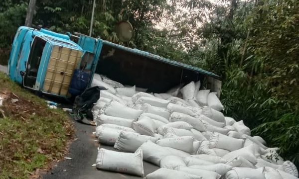 Truk Angkut Pupuk Terguling di Jalur Petungkriyono Kabupaten Pekalongan