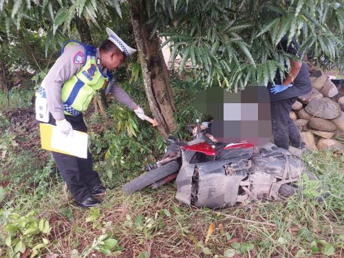Dua Pemotor Dari Desa Jagung Tewas Tabrak Pohon di Bojong