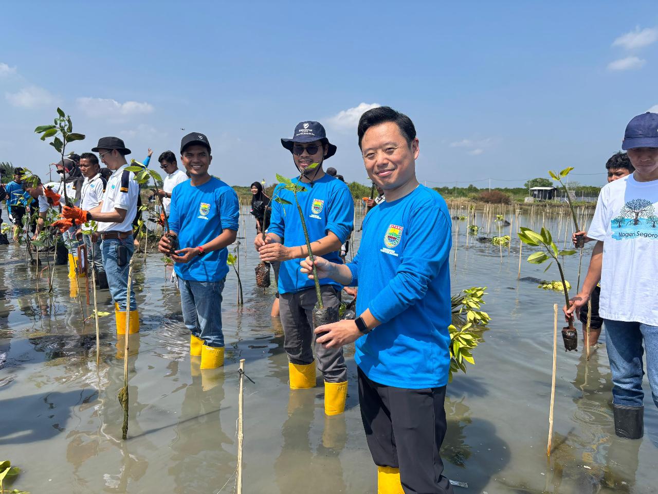 Dukung Program Mageri Segoro, PLTU Batang Berikan Ribuan Mangrove di Peringatan Hari Lingkungan Hidup  Sedunia