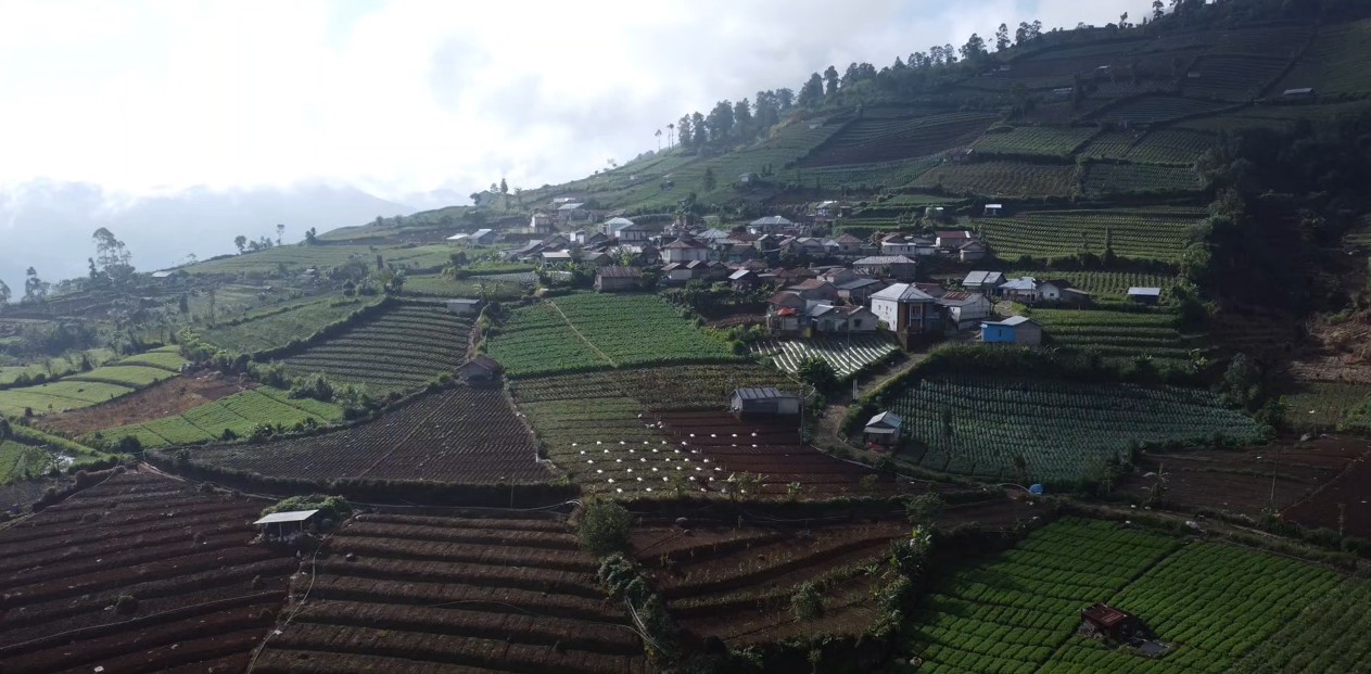 Menapaki Salah Satu Desa Tertinggi di Kabupaten Pekalongan, Kaki Gunung Rogojembangan