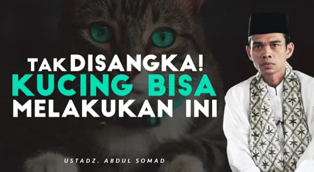 Pelajaran Berharga! Kisah Mengharukan dari Ustaz Abdul Somad tentang Kebaikan Seekor Kucing