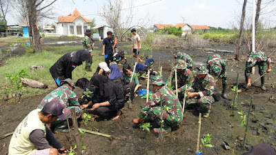 Tanam 500 Bibit Mangrove dan Bersih Pantai bersama Kodim Pekalongan dan KAPILASKA SMAN 1 Kajen