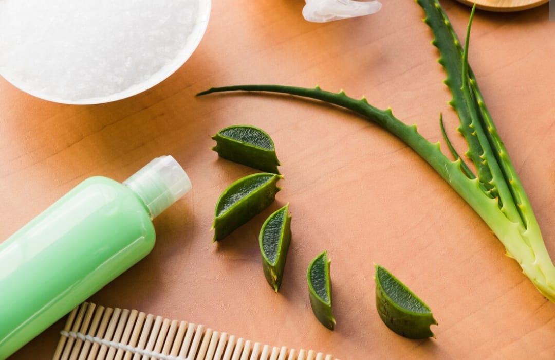 4 Shampo Aloe Vera Terbaik yang Terjangkau untuk Merawat Rambut Rontok