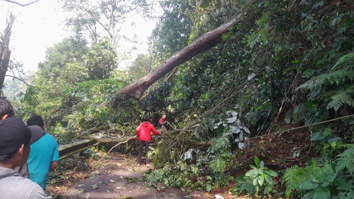 Polri bersama Warga Evakuasi Pohon Tumbang di Lebakbarang