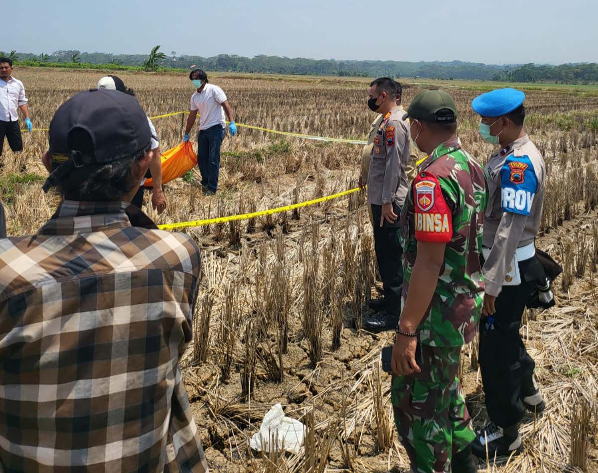 Mayat Laki-laki Ditemukan Sudah Mengering di Areal Persawahan di Batang, Diperkirakan Sudah Meninggal 2 Minggu