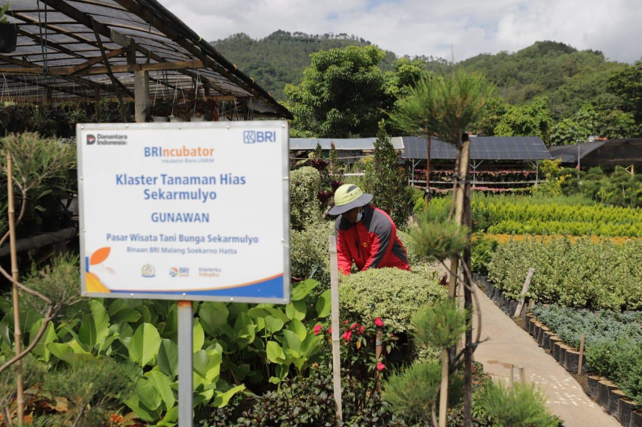 Perkuat Ekonomi Kerakyatan, BRI Berdayakan 41 ribu Klaster Usaha melalui Pembiayaan dan Literasi Keuangan