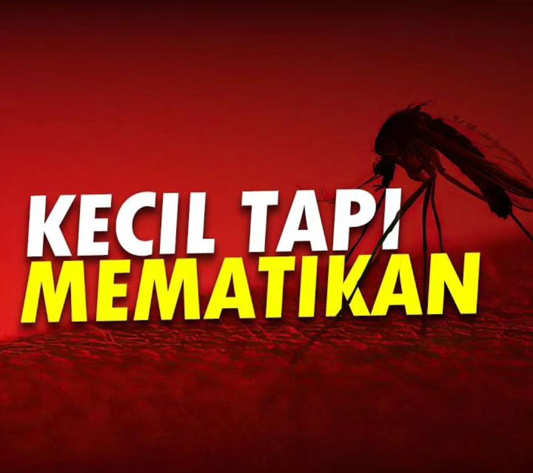 5 Cara Membasmi Nyamuk di Kamar, Lakukan Ini dan Bikin Nyamuk Cepat Minggat