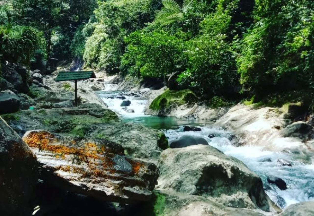 Wajib Mampir! Ini Dia 4 Tempat Wisata Alam Populer di Pekalongan yang Bikin Mood Oke