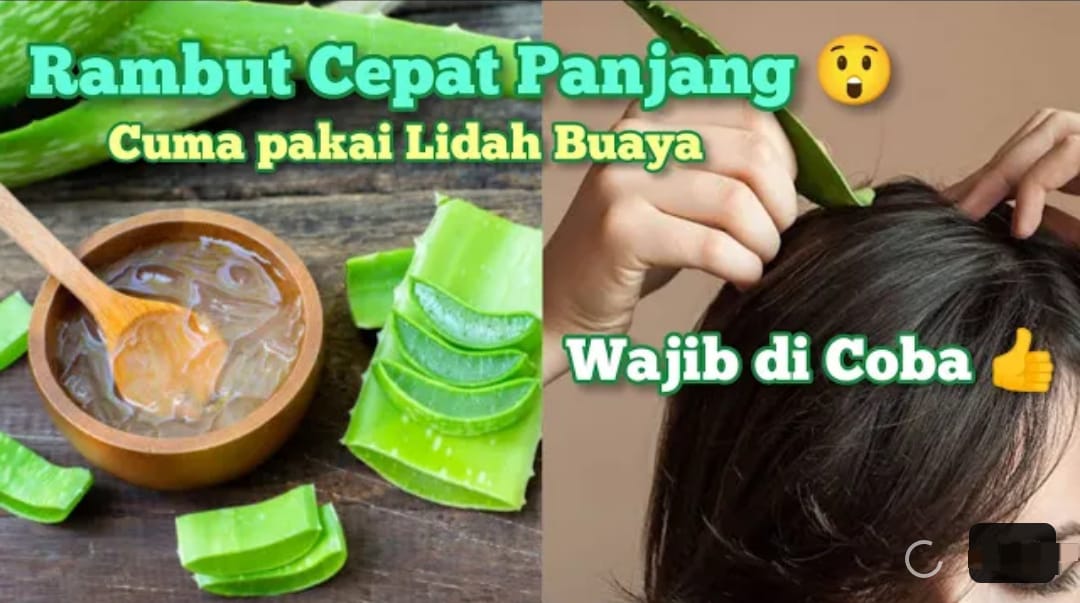 2 Cara Menggunakan Masker Rambut Lidah Buaya untuk Menghitamkan Uban Permanen, Bantu Memanjangkan Rambut