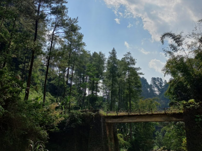 Ada Curug Eksotis di Bawah Bumper Karangsrity Petungkriyono, Hidden Gem untuk Orang-orang Pencari Keheningan