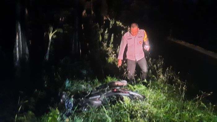 Tabrak Pohon Salam, Pemuda Desa Sukoharjo Tewas di Kandangserang Pekalongan