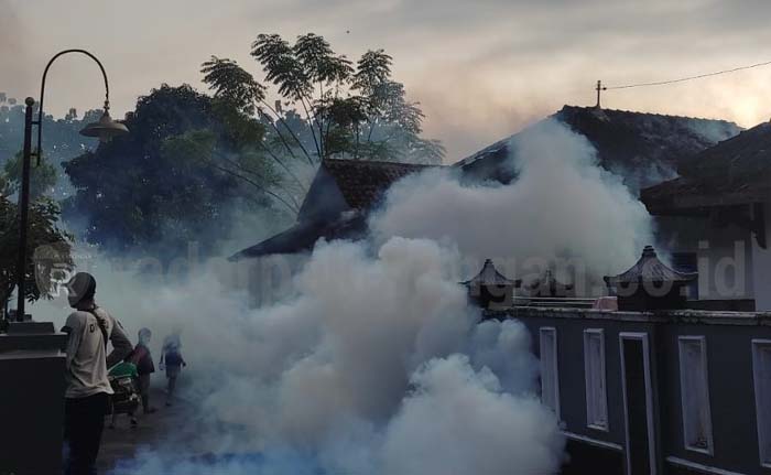 Waspadai Demam Berdarah, Sebulan Ada 45 Kasus di Pekalongan