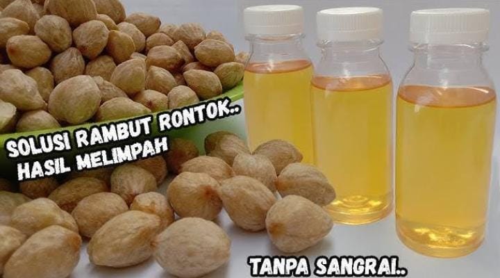 Minyak Kemiri Bisa Mengatasi Berbagai Masalah Rambut, Begini Cara Membuat dan 5 Manfaatnya