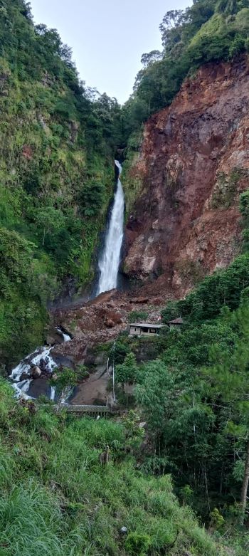 Tak Ada Hujan, Tebing di Obyek Wisata Curug Bajing Petungkriyono Longsor