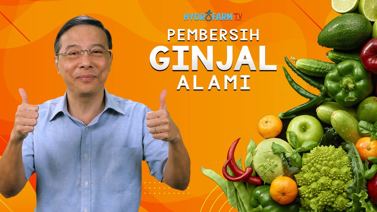 Jaga Kebersihan Ginjal! Inilah 8 Makanan yang Efektif untuk Membersihkan Ginjal, Mulai dari Ikan hingga Beri