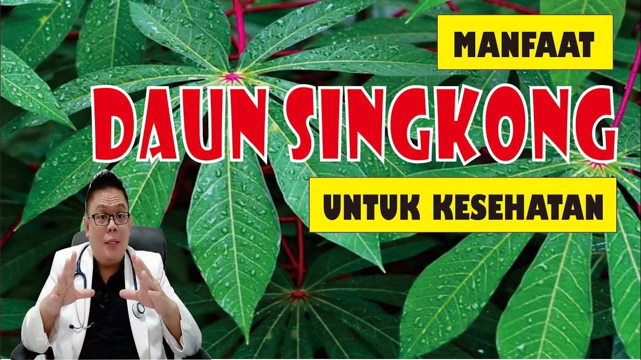 Manfaat Kesehatan dari Satu Lembar Daun Singkong, Apa Saja?