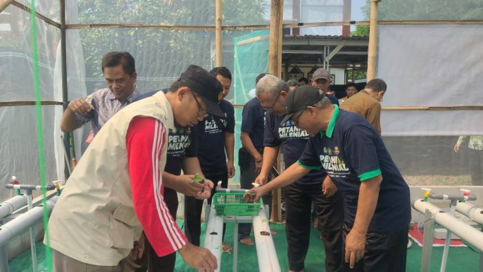 Pemberdayaan Bidang Pertanian, Pimpinan Cabang Muhammadiyah Kajen Kembangkan Budidaya Melon Secara Hidroponik