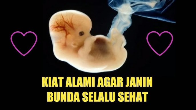 Inilah Cara Menjaga Kesehatan Ibu Hamil dan Janin Dalam Kandungan