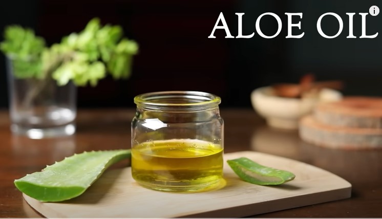 Cara Membuat Minyak Aloe Vera untuk Pertumbuhan Rambut yang Lebih Cepat, Kuat dan Tebal