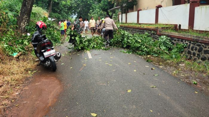 Pohon Tumbang Tutup Jalan Desa Tanjungkulon Pekalongan, Bhabinkamtibmas dan Babinsa Kajen Bergerak Cepat