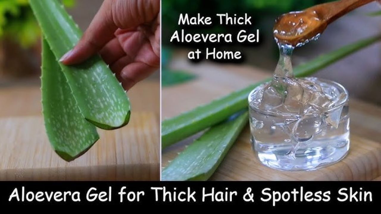 Bagaimana Tips Menggunakan Aloe Vera Agar Rambut Tumbuh Tebal? Berikut 3 Cara Paling Sederhana