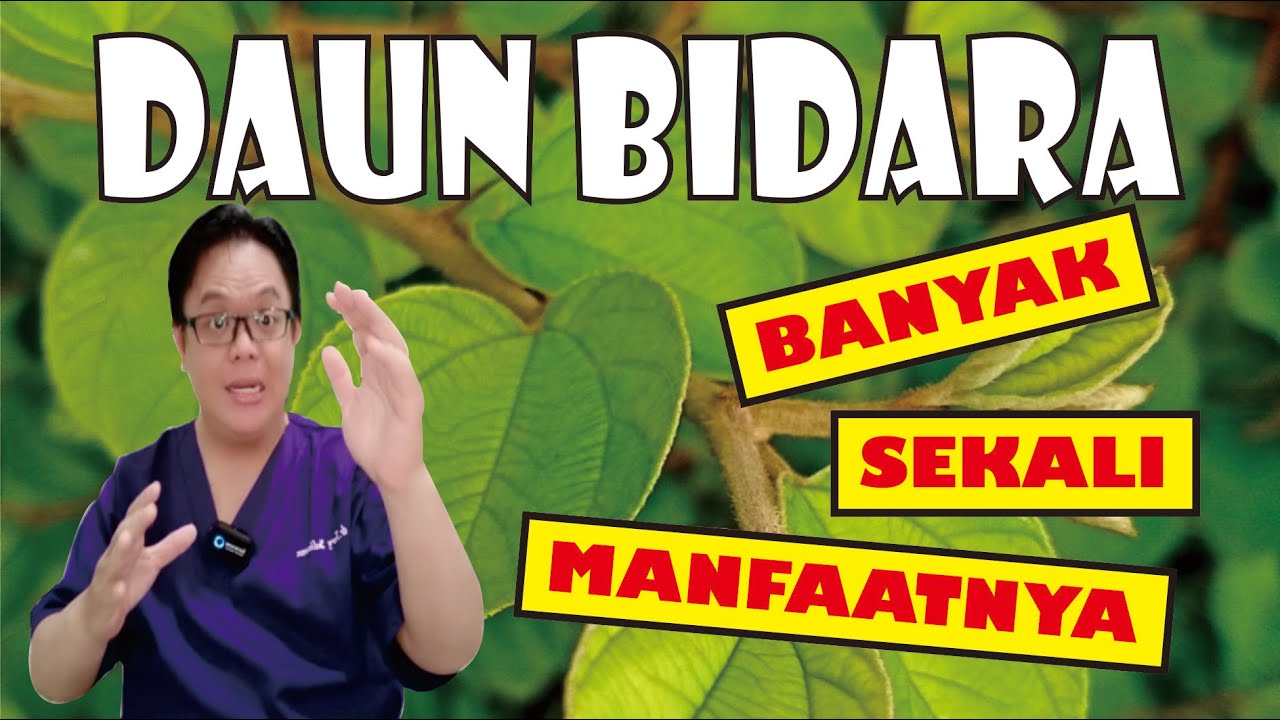 Mampu Mencegah Diabetes! Inilah 3 Khasiat Daun Bidara untuk Kesehatan