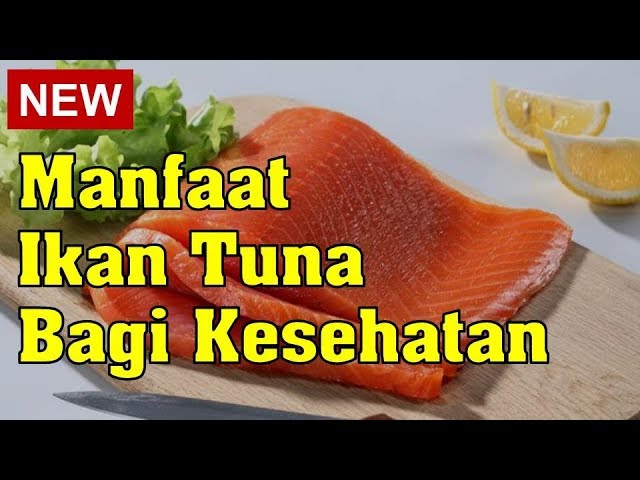 Manfaat Ikan Tuna untuk Kesehatan, Dapat Mencegah Anemia dan Membantu Mengatasi Stres