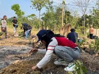 Tim II KKN Undip Tanam 900 Bibit Pohon di Lahan Kosong di Desa Kalimojosari Pekalongan