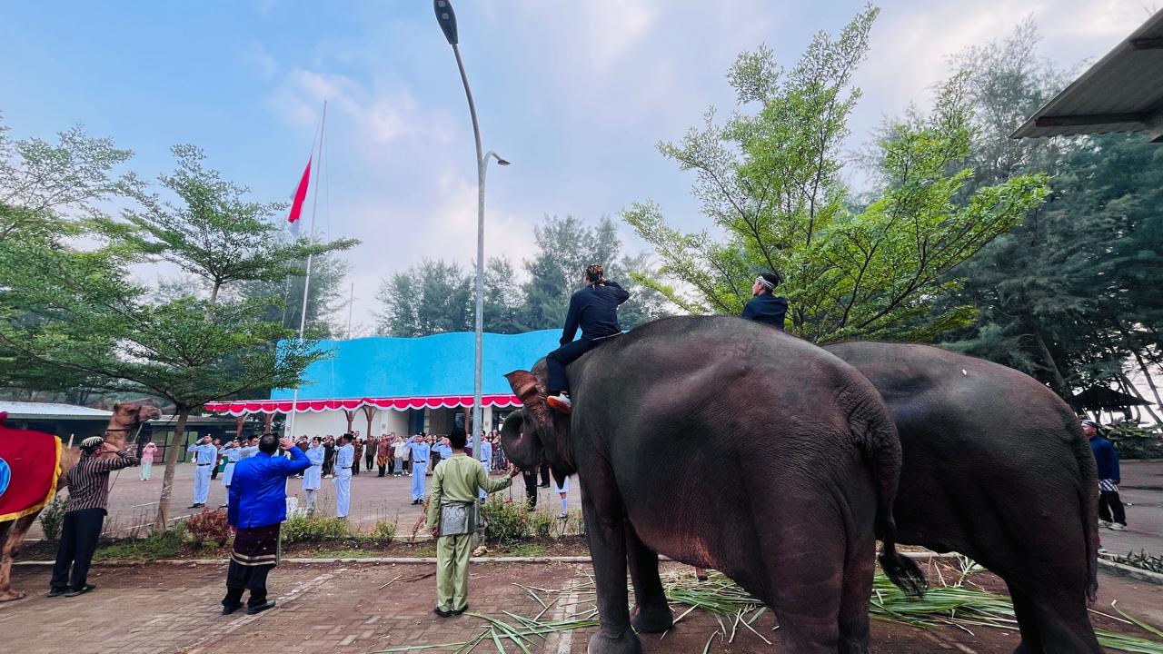 Semarak HUT RI, Beach Safari Batang Hadirkan Upacara Unik Bersama Satwa