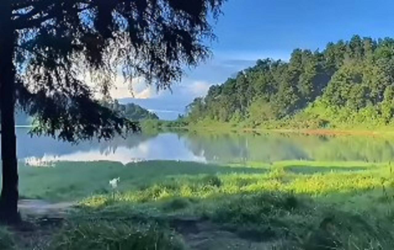 Tersembunyi di Perbukitan, Ini Keindahan Wisata Alam Telaga Dringo Banjarnegara yang Mirip Ranu Kumbolo!