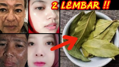 Rahasia Kulit Kencang dan Glowing dengan Daun Salam, Solusi Alami Wajah Awet Muda di Usia 50 Tahun ke Atas