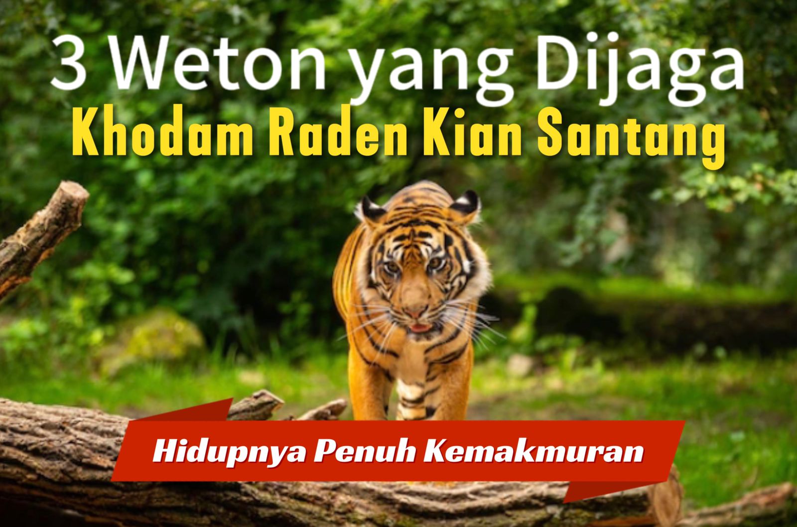 Dilindungi Harimau, 3 Weton yang Dijaga Khodam Raden Kian Santang ini Hidupnya Penuh Kemakmuran