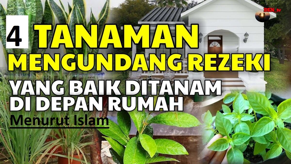 Dinilai Bagus dan Membawa Berkah! Inilah 4 Tanaman Pembawa Rezeki di Depan Rumah Menurut Islam, Apa Saja?