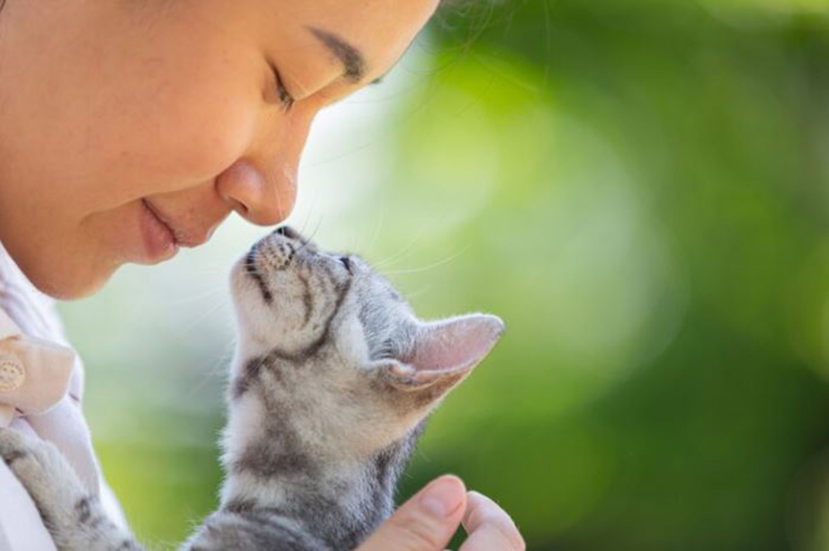 Kamu Mungkin Tidak Menyangka, Inilah 9 Cara Kucing Mengenali Tuannya, Tak Hanya dari Bau tapi Juga dari Hati