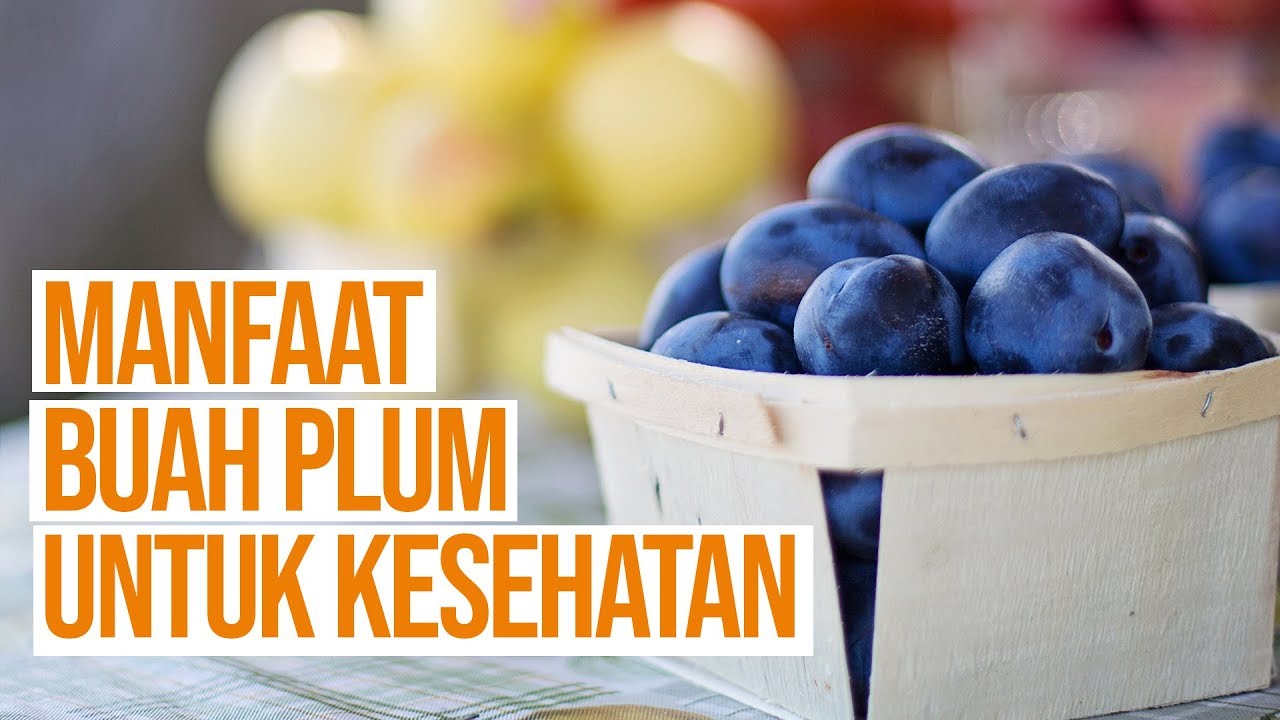 Manfaat Buah Plum untuk Kesehatan yang Dapat Membantu Menurunkan Berat Badan