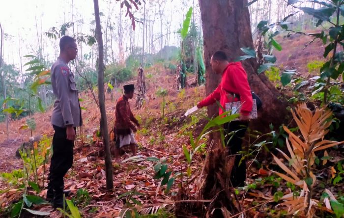 Suroso dan Lukman Sudah Diingatkan untuk Turun dari Pohon Durian, 2 Penebas Durian Tewas Disambar Petir