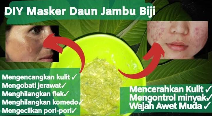 2 Cara Meracik Daun Jambu Biji untuk Flek Hitam di Usia 50 Tahun ke Atas, Efektif Memutihkan Bikin Awet Muda