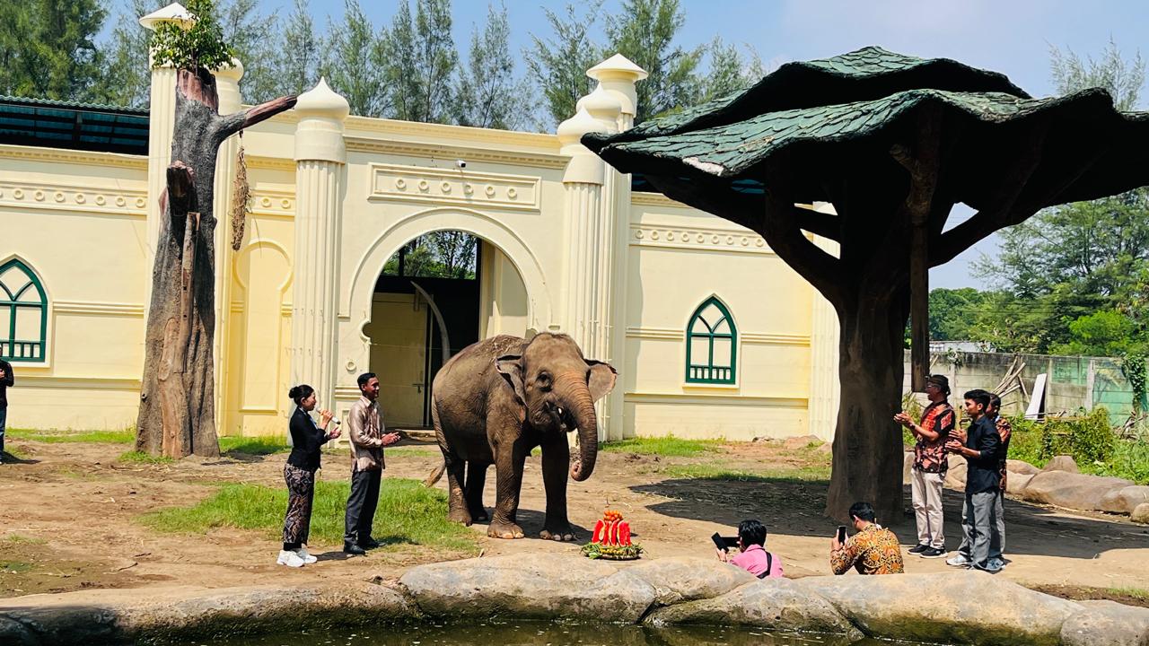 Semarak Hari Kartini, Gajah Kartini Jadi Daya Tarik di Beach Safari Batang