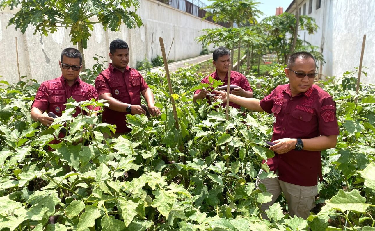 Dukung Program Ketahanan Pangan, Rutan Pekalongan Manfaatkan Lahan Terbatas untuk Pertanian