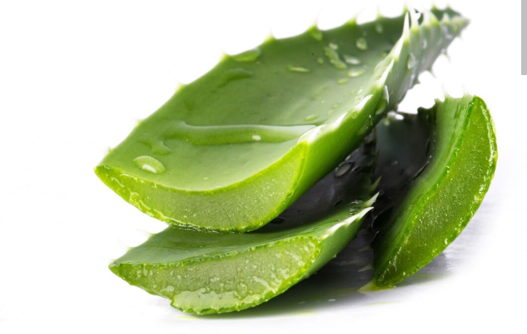 Begini Hasil Pakai Aloe Vera untuk Rambut Dalam Seminggu, Menakjubkan!