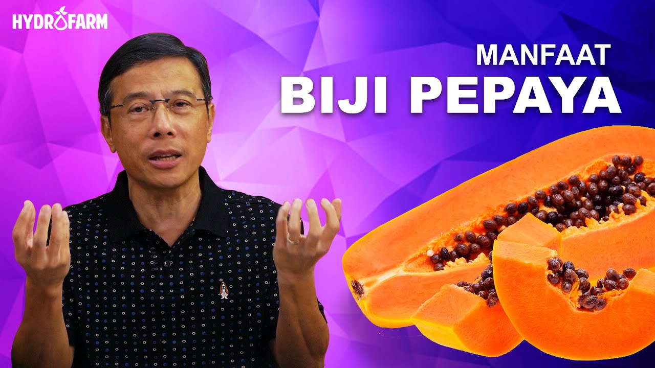 Manfaat Biji Pepaya untuk Kesehatan, Dapat Melindungi Fungsi Ginjal 