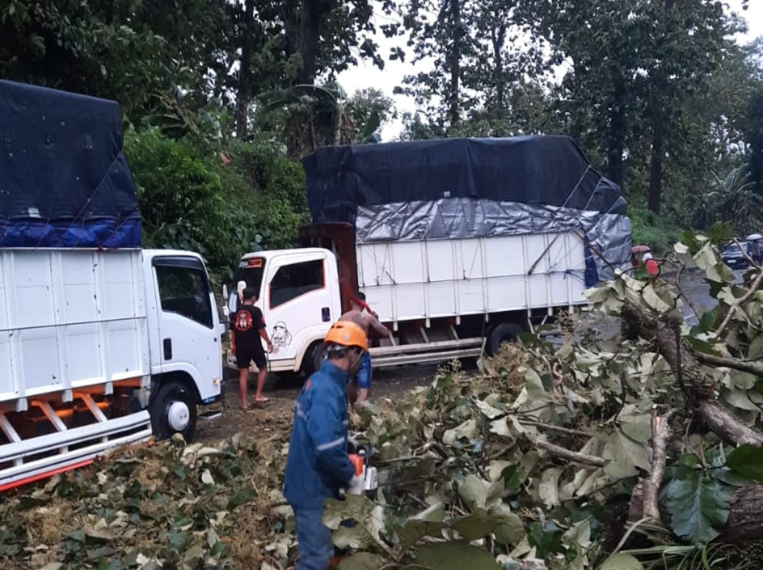 Cuaca Ekstrem Diprediksi Hingga 7 Maret, BPBD Batang Minta Masyarakat Waspadai Potensi Bencana Susulan